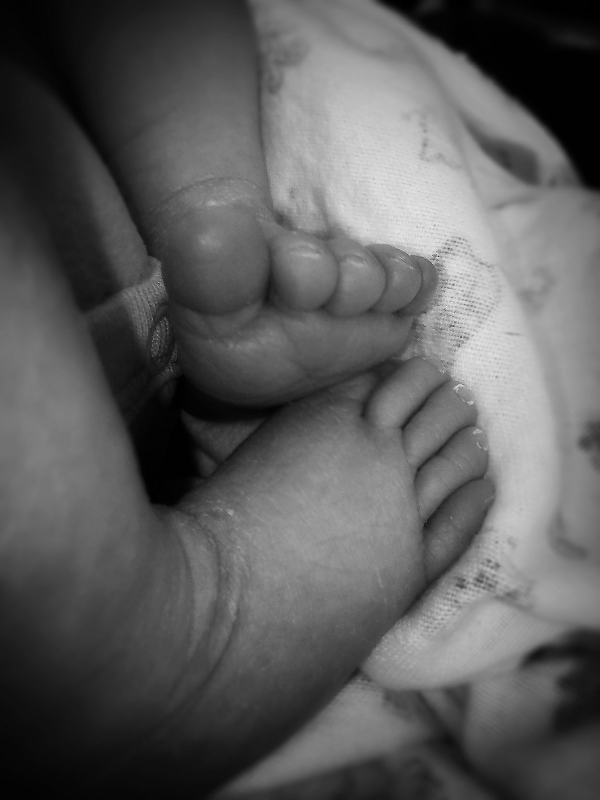 [28-365+-+Jesse's+Feet.jpg]