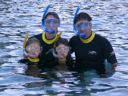 Discovery Cove- Florida 2008