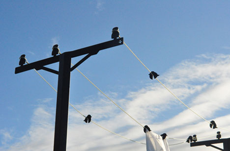 Clothesline Move
