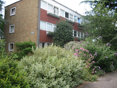 byron court