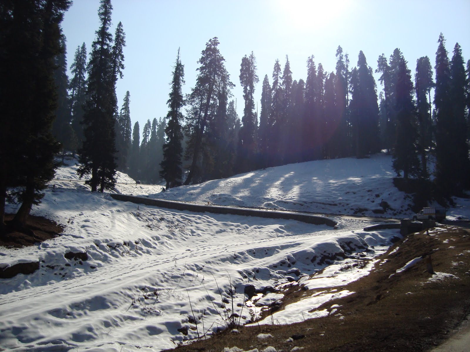 Shuvo's World Kashmir Trip Gulmarg