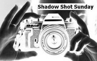 [Shadow+Shots.jpg]