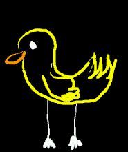 Pato 2