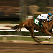 [horse+race+03.jpg]