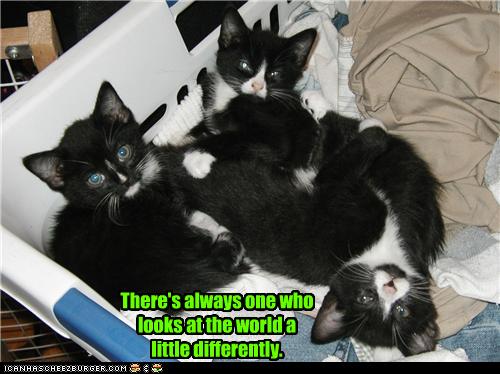 Keep moving forward...