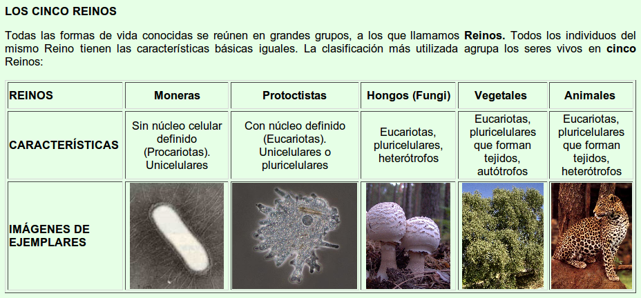 BLOGS DE BIOLOGIA: TAREAS EXTRACLASES (LA CLASIFICACIÓN DE LOS REINOS)