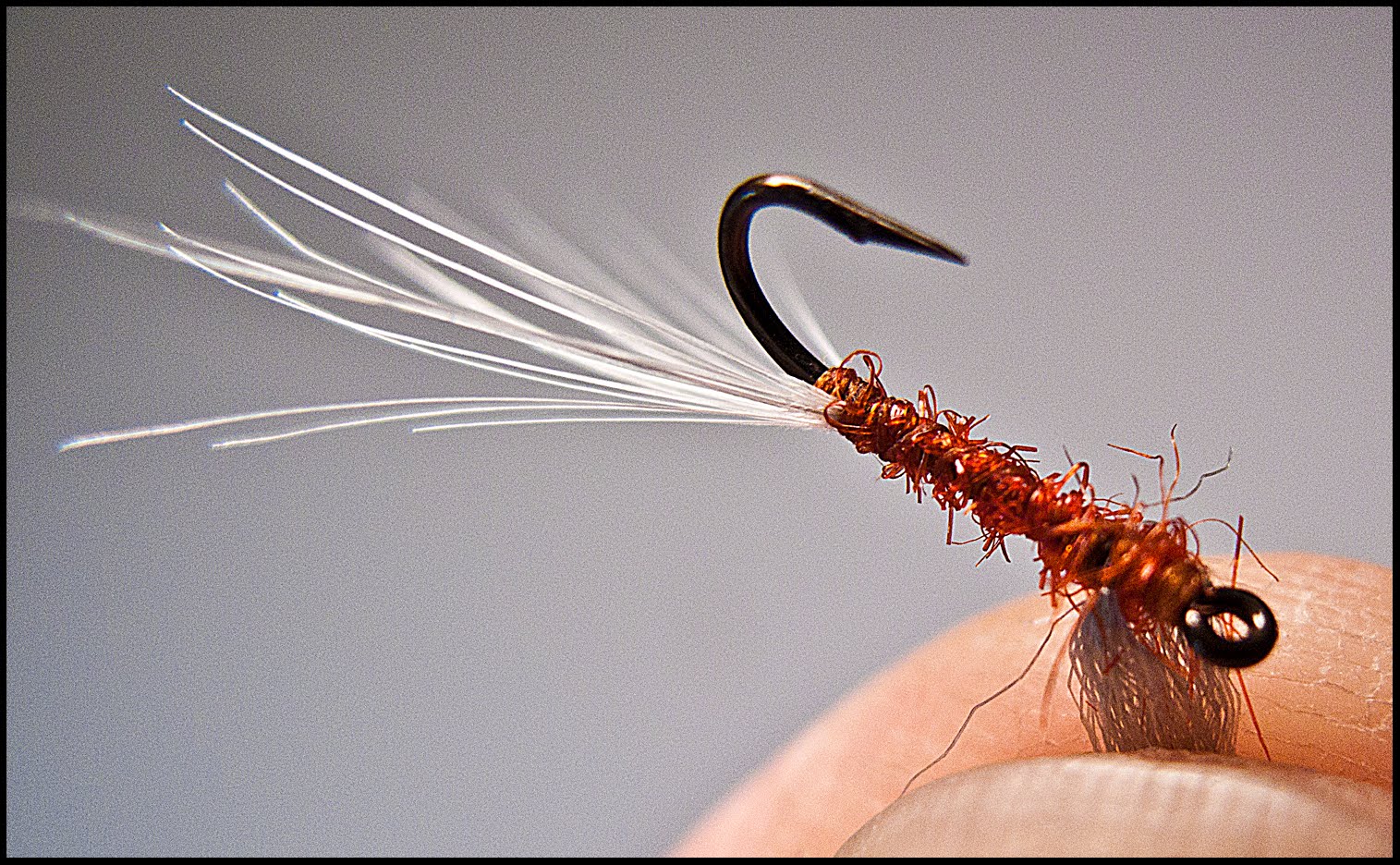 Dry Fly 'Expert' Poly Prop Sherry...