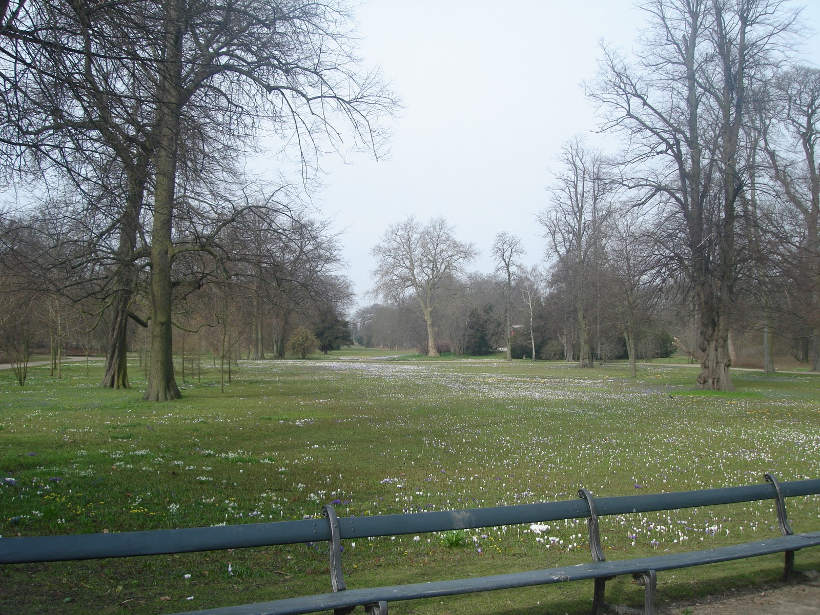 [Image: DSC02978.JPG]