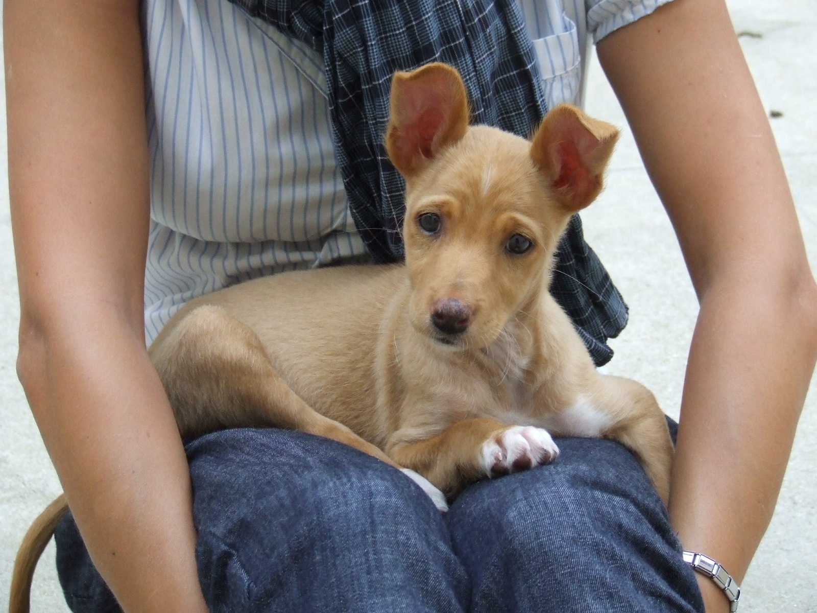 [2008_08210176.JPG]