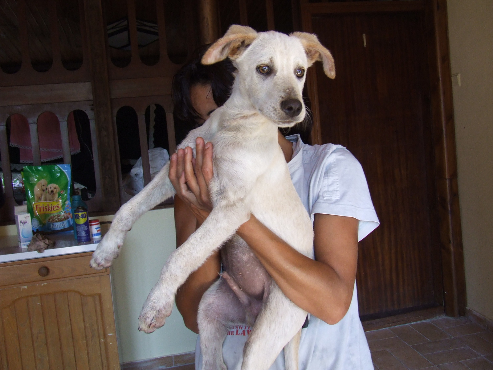 [2008_08270013.JPG]