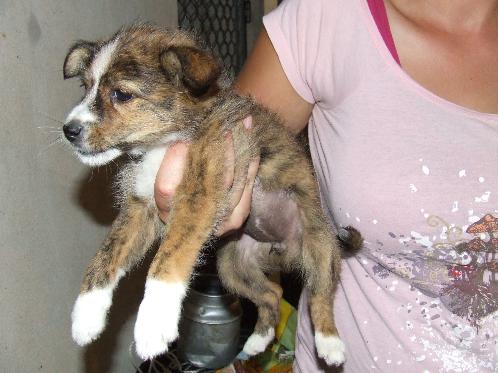 [2008_10150013.JPG]