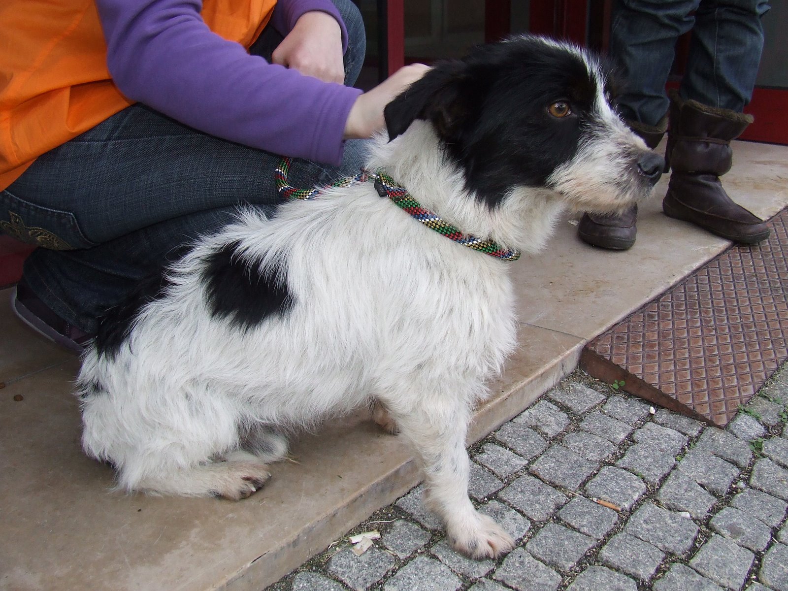 [2009_01250078.JPG]