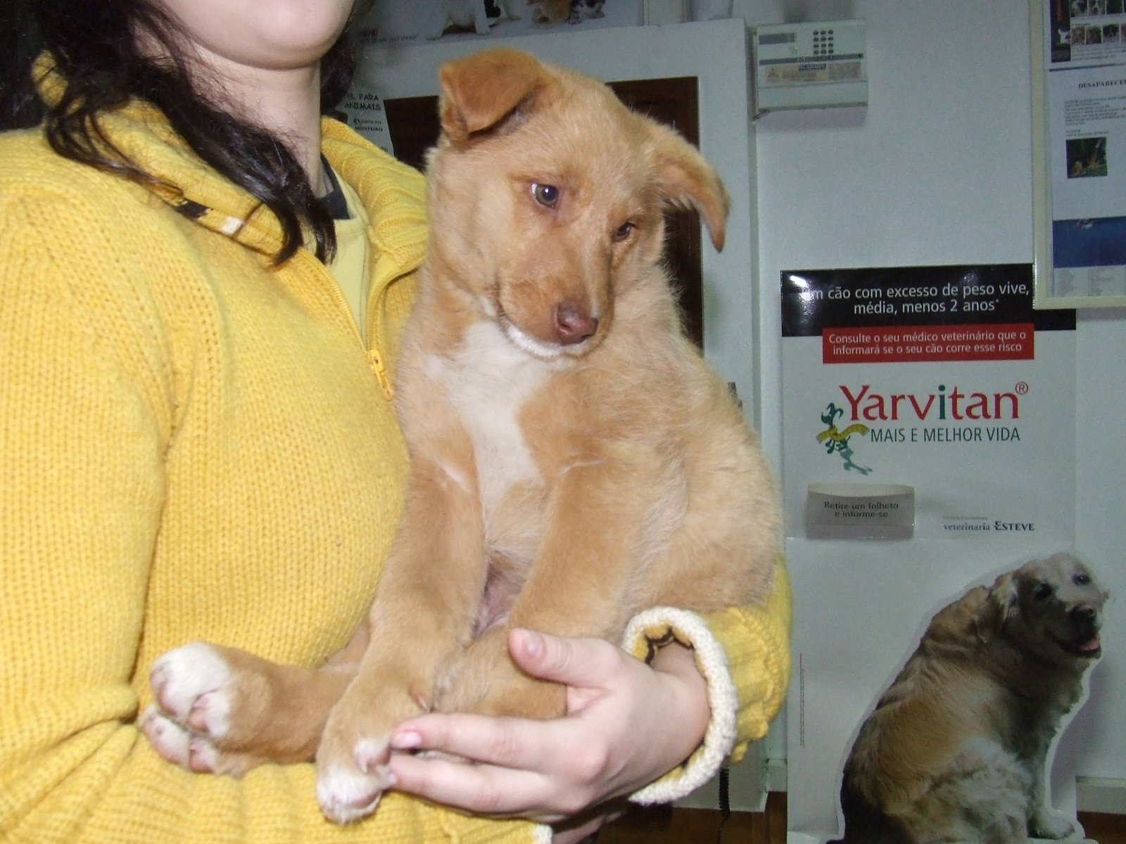 [2009_02140021.JPG]
