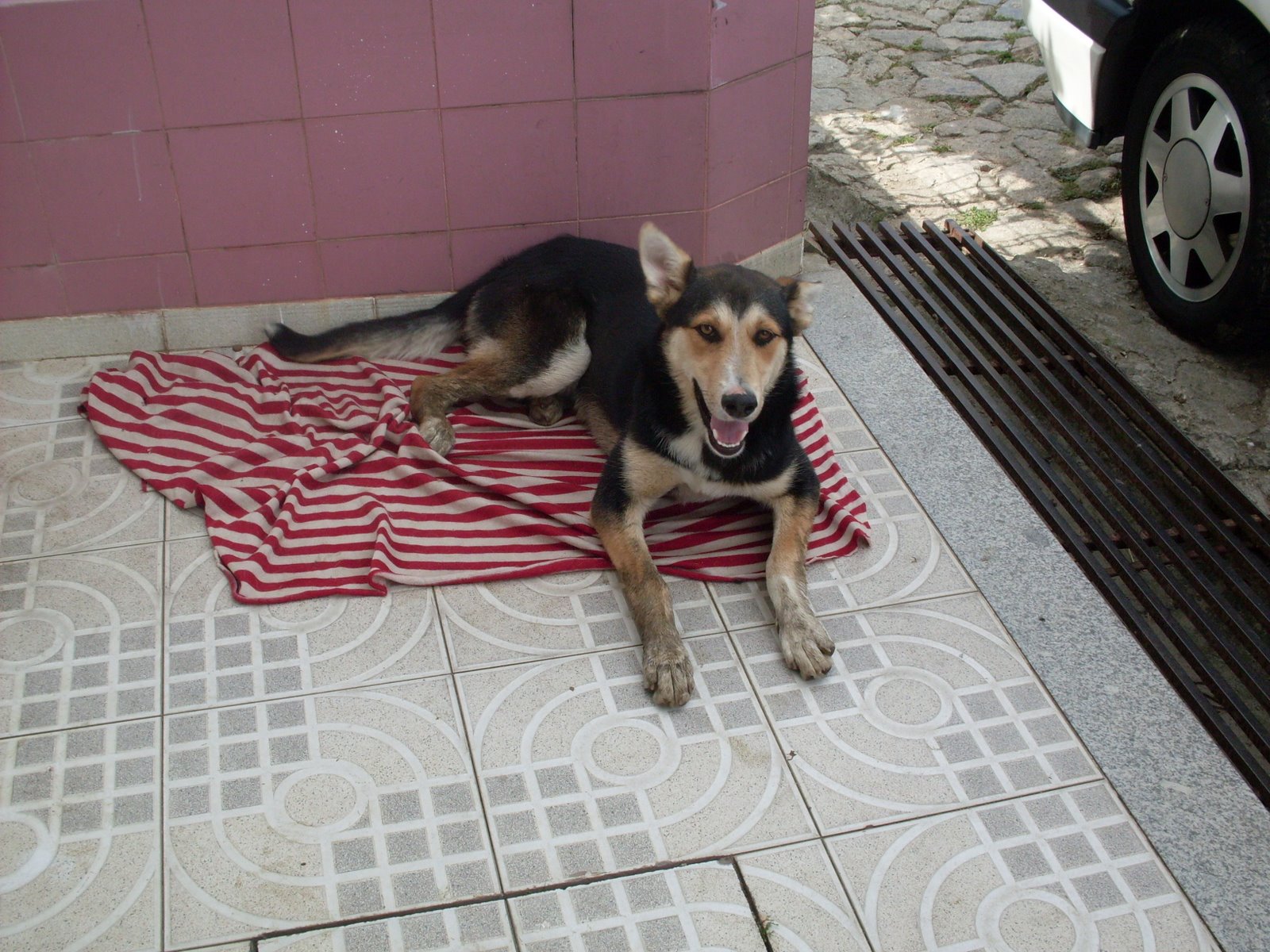 [SDC13390.JPG]