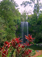 Millaa Millaa Falls