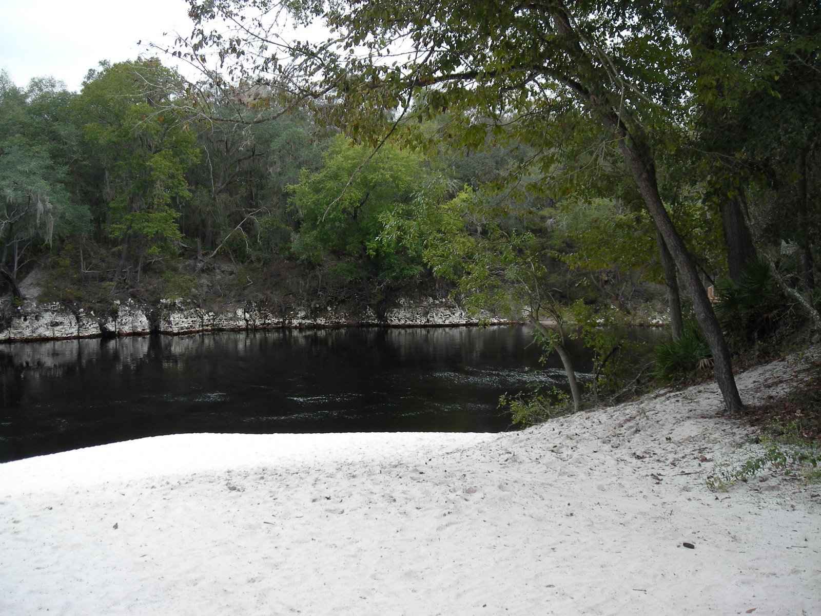 [suwannee+river.JPG]