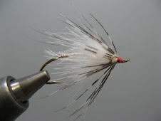 Emilee's Spey