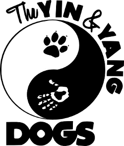 The yin & yang dogs