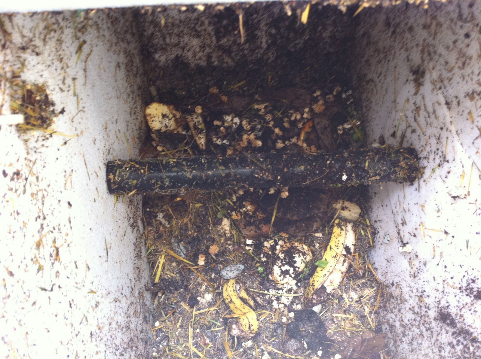 My New Composting Tumbler Week Two, fruit flies