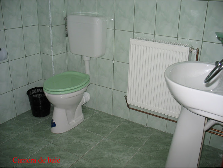 Camera de baie  pensiune Cremona