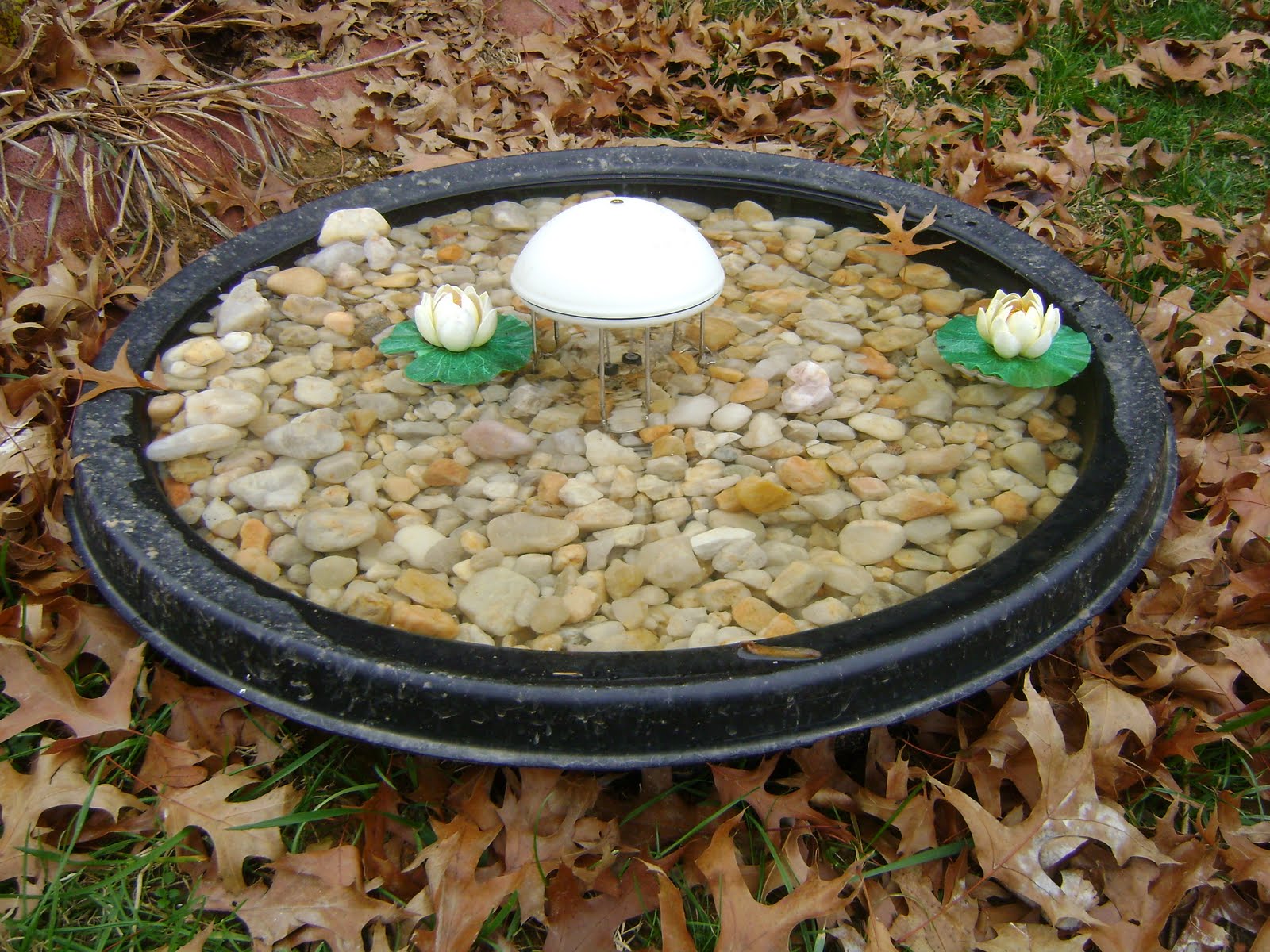 Water Plant Suggestions for Deep Birdbath?