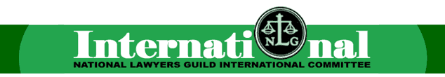 NLG International Committee Delegation Blog