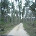 pangasinan series: other bolinao sights