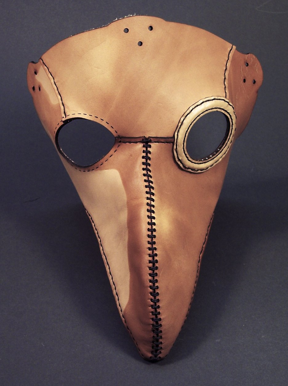 cow eye lens