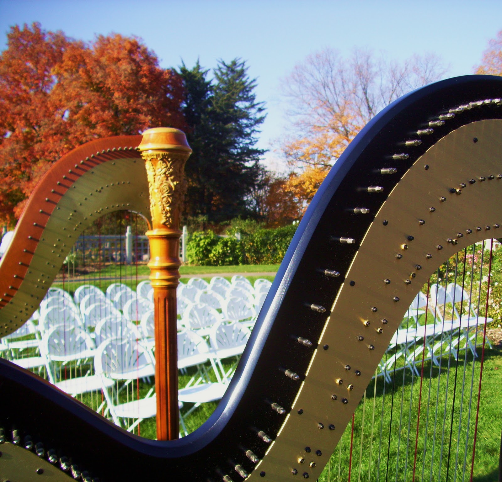 Minneapolis Wedding Harpist