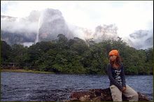 Venezuela, 2008