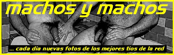 machos y machos