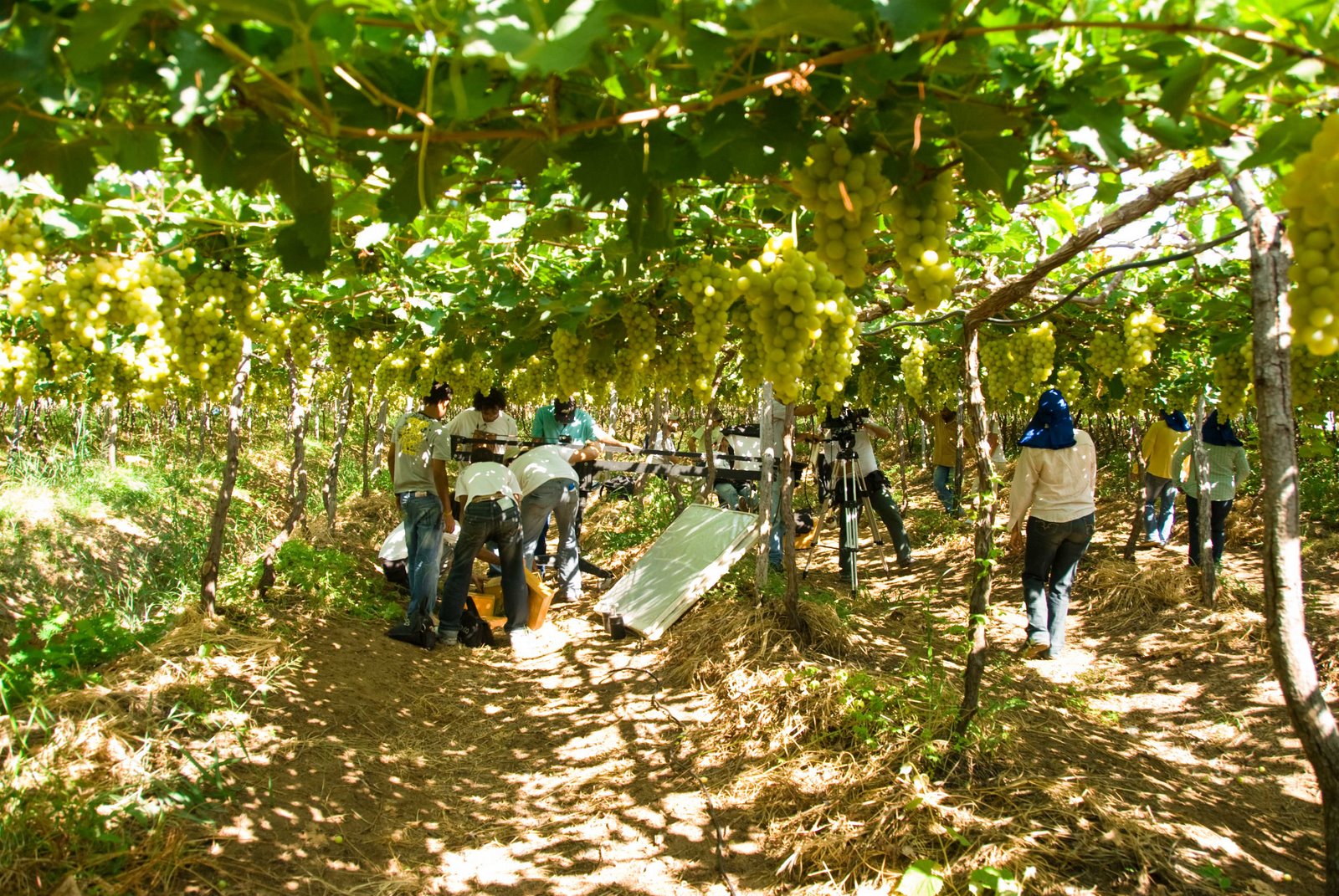 [0384-clipe_gov_pe-05_12_2008.jpg]