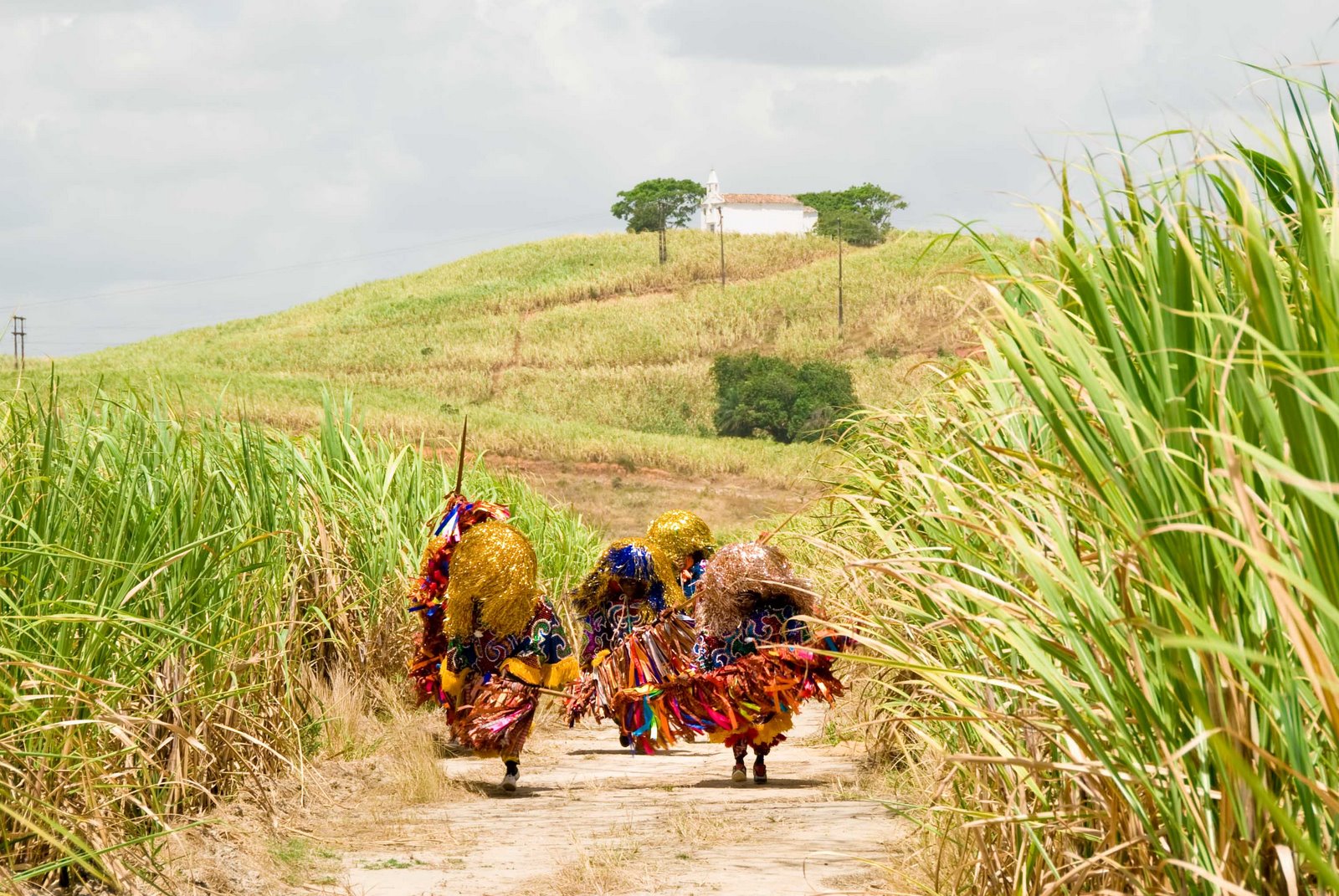 [0146-clipe_gov_pe-03_12_2008.jpg]