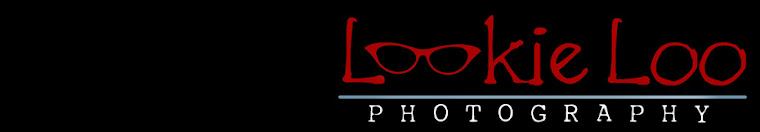 LookieLoo Pricing