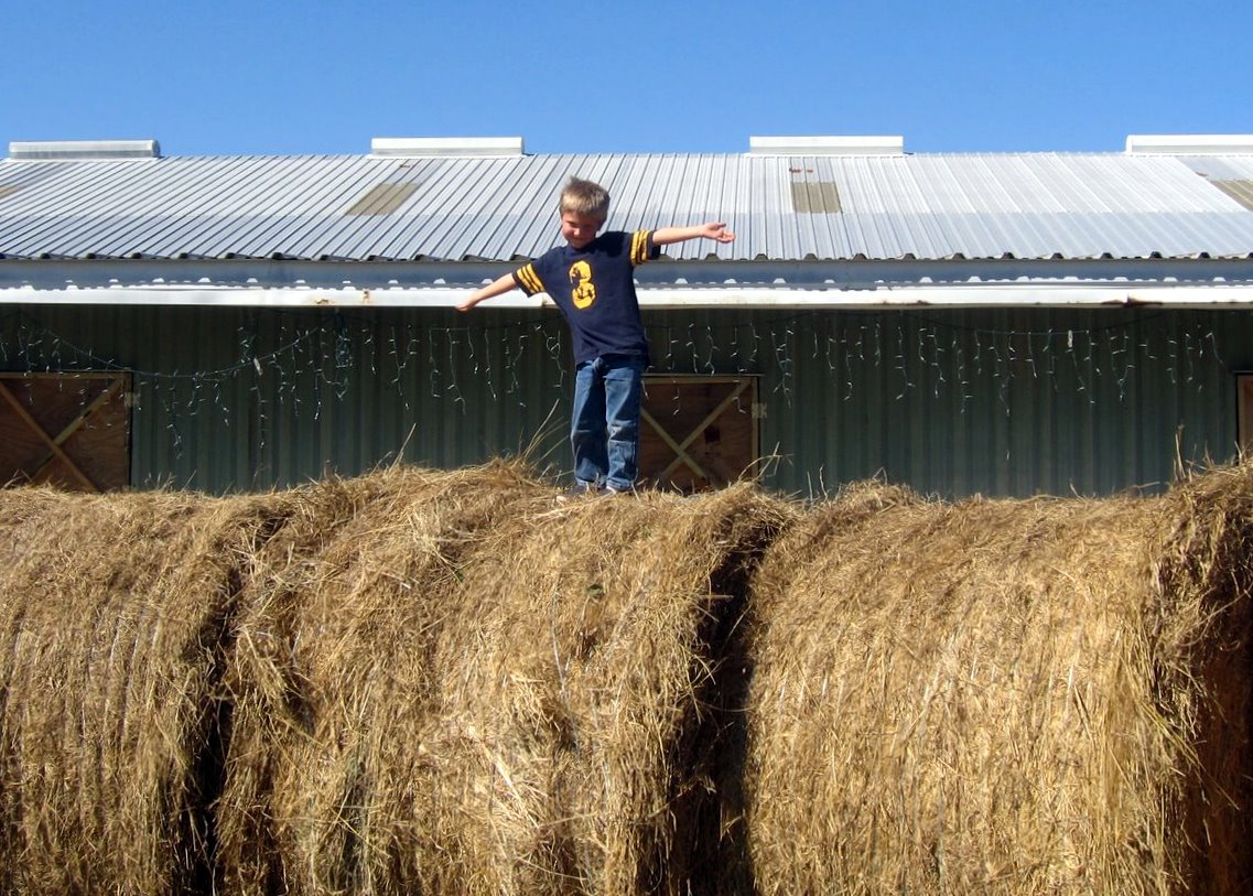 [noah+on+hay.jpg]