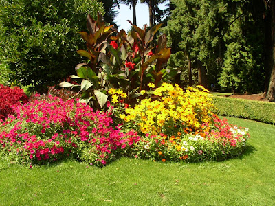 Dreams of a garden: Flower Gardens