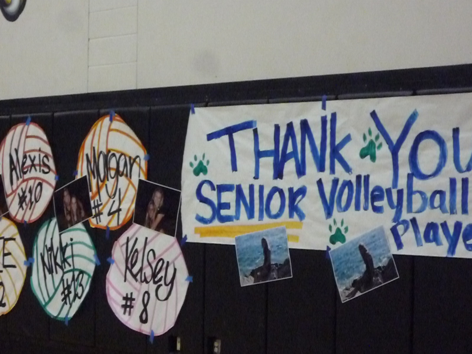 I Kid You Not: Photos -- Valley Center girls volleyball senior night 2010