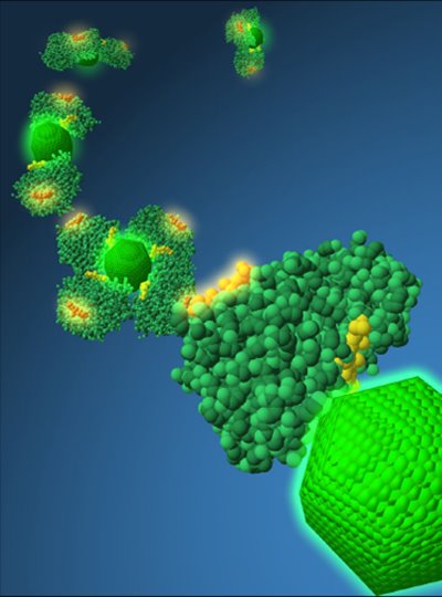 [Dargombez_NSensor_03.jpg]