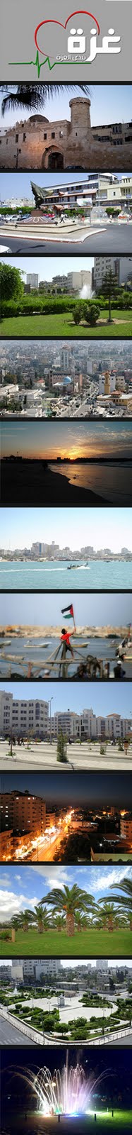 صور جمالية من قطاع غزة