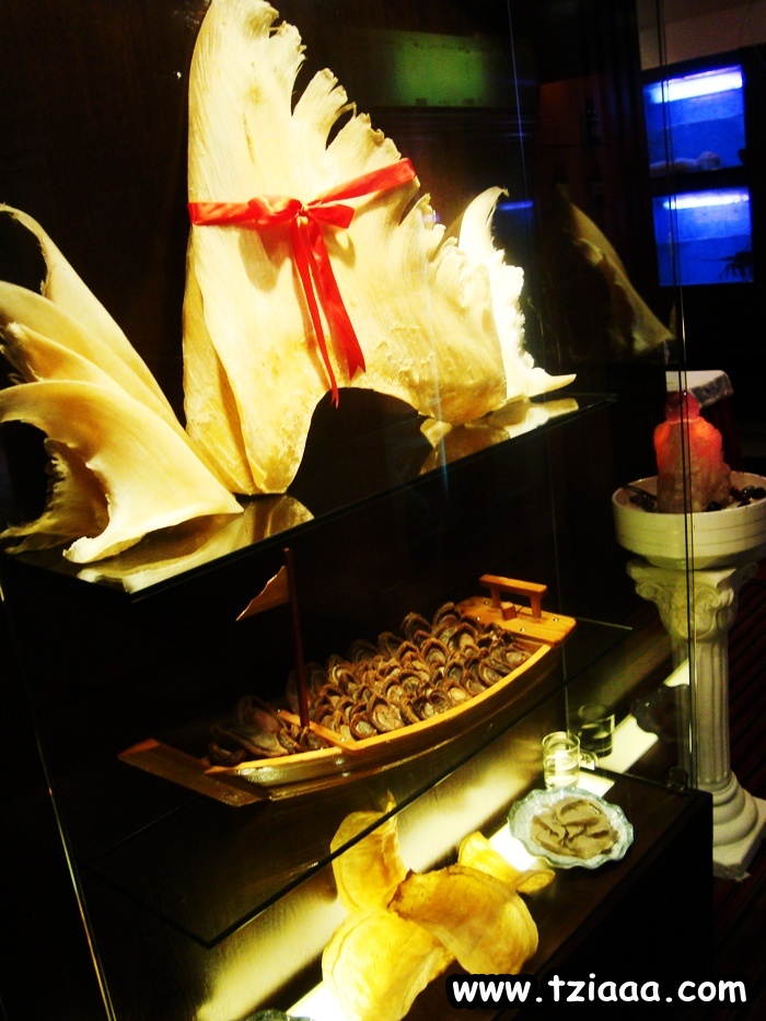 [DSC07260.JPG]