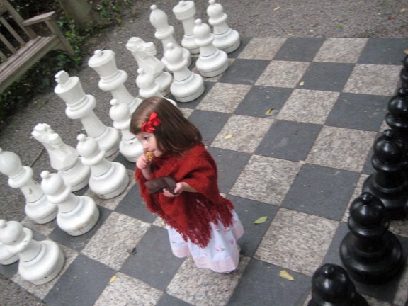 [w_chess.jpg]