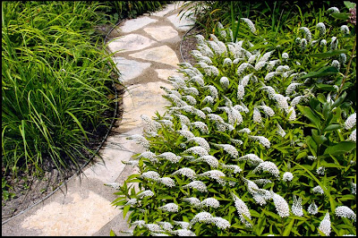 [winding+path.jpg]