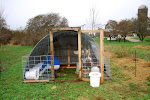 The Chicken Tractor