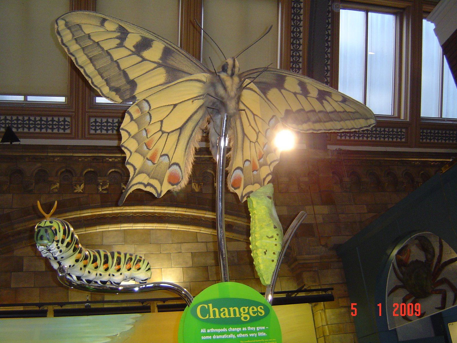 [DSC04803.JPG]