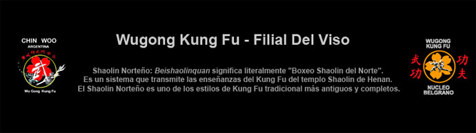 Wugong Kung Fu - Filial Del Viso
