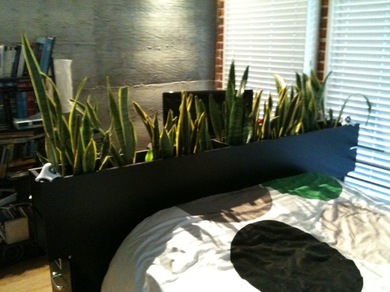 Ikea Plant Room Divider Ikea Plant Room Divider
