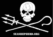 SEASHEPHERD