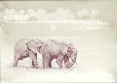 Funny Picture of Elephants