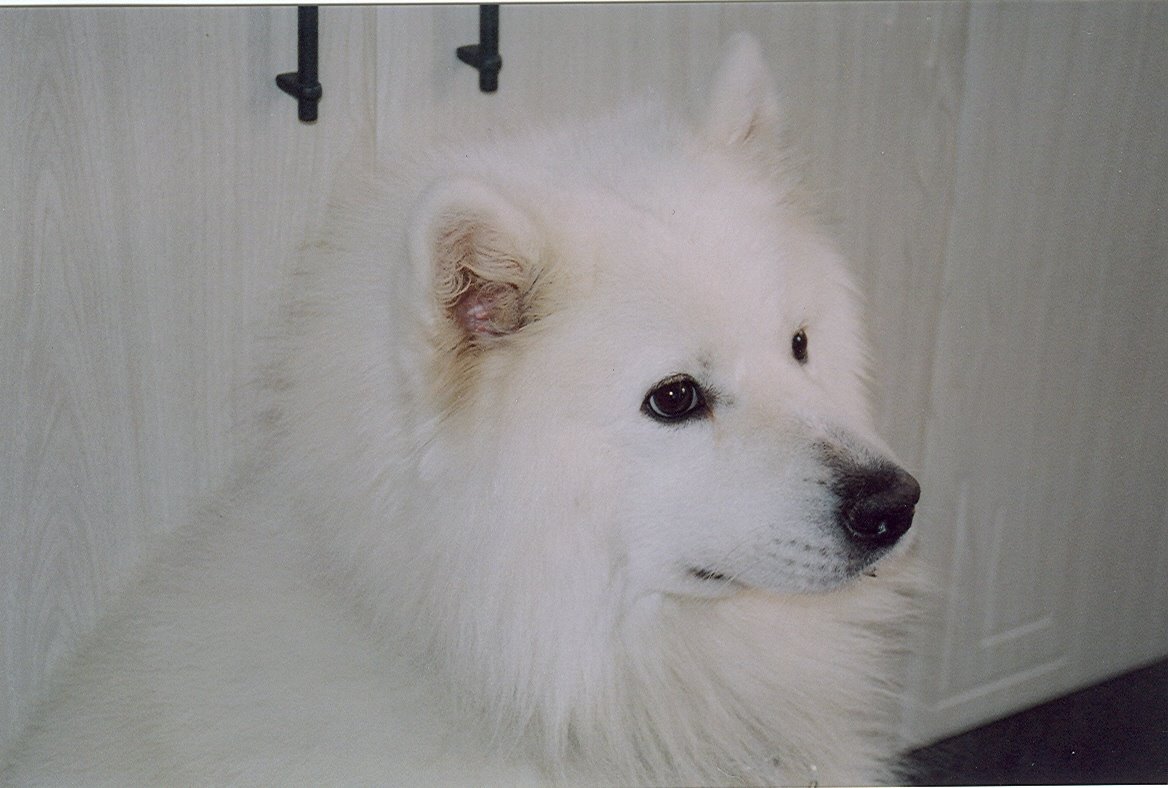 [CopoOct2003.jpg]