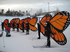 2010 Butterflies